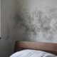 Schimmelbefall in der Zimmerecke hinter einem Bett